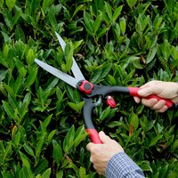 Pruning and Cutting
