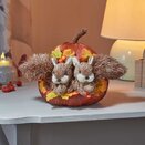 Pumpkin Pals - Mixed Case