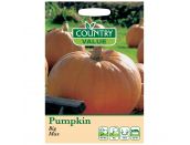 Pumpkin Seeds Big Max - image 1