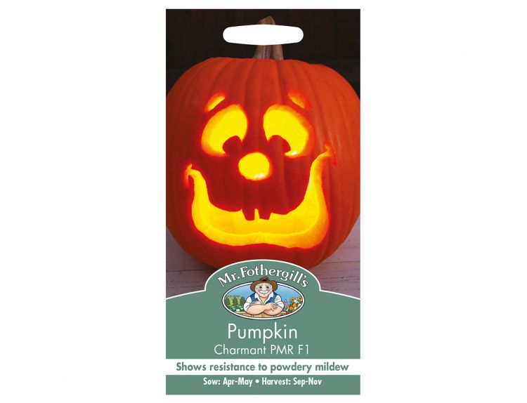 Pumpkin Seeds Charmant PMR F1 - image 1