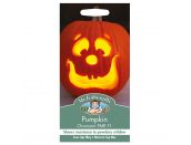 Pumpkin Seeds Charmant PMR F1 - image 1