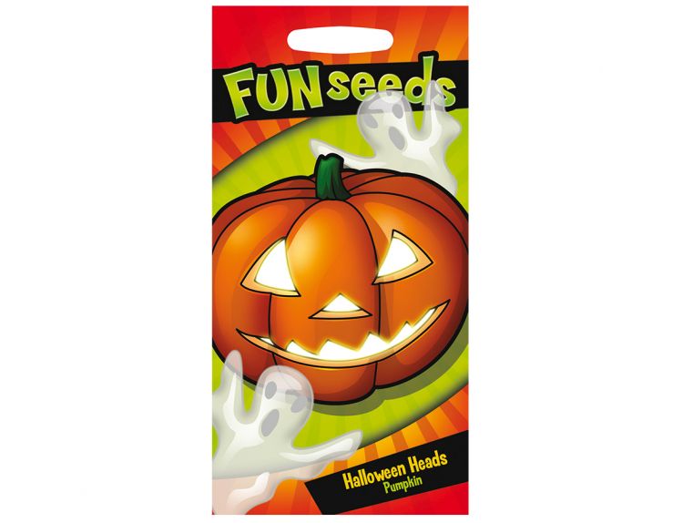 Pumpkin Seeds Halloween Heads - image 1