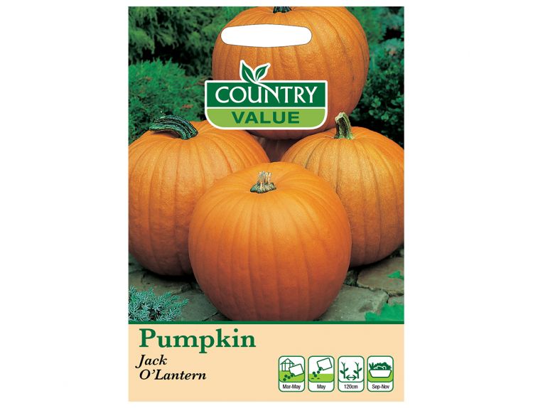 Pumpkin seeds Jack O'Lantern - image 1