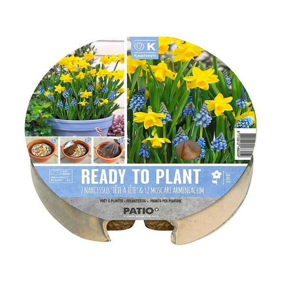 Ready to Plant Plant-O-Mat - Narcissus & Muscari