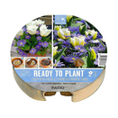 Ready to Plant Plant-O-Mat Tulip & Anemone