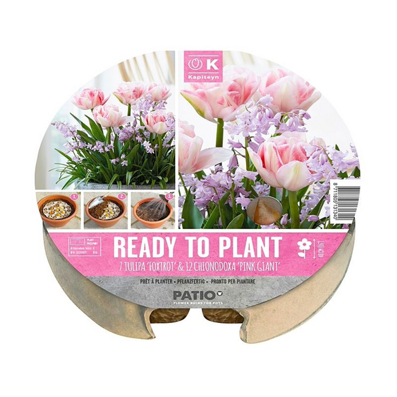 Ready to Plant Plant-O-Mat - Tulip & Chionodoxa