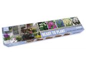 Ready to Plant Tray Galaxy Mix