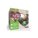 Recycled Treat & Play Ball for Chickens  - image 2