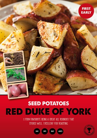 Red Duke of York 2kg bag