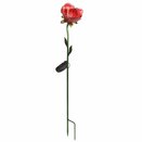Red Rose - image 2