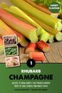 Rhubarb Champagne