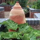 Rhubarb Pot No.2 - image 2