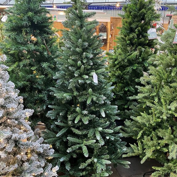 Rockingham Frosted Pine 2.4m