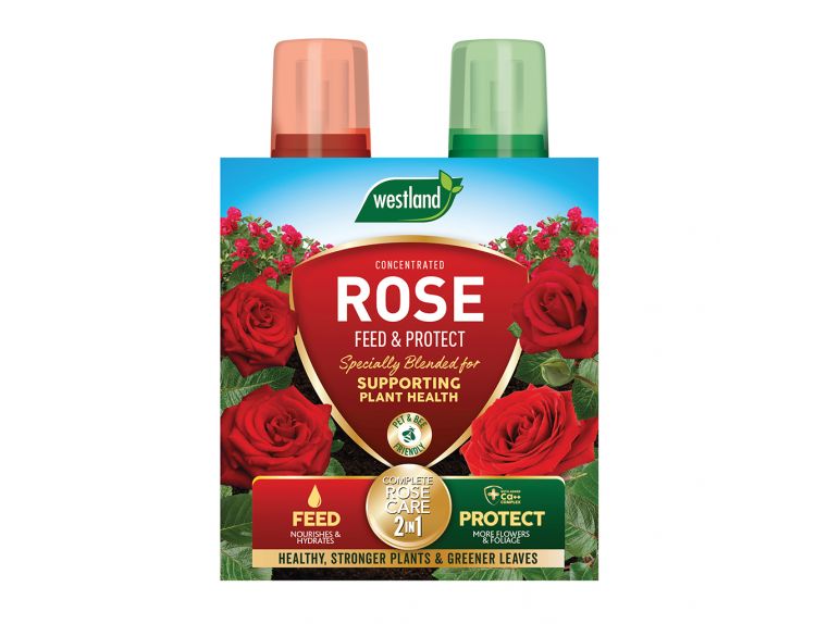 Rose 2 in 1 Feed & Protect