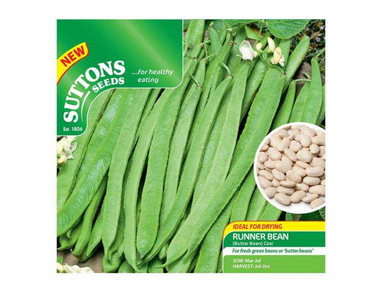 Runner Bean (Butter Bean) Seeds Czar - image 1