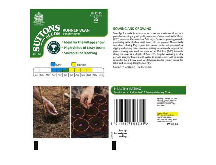 Runner Bean Seeds Benchmaster - image 2