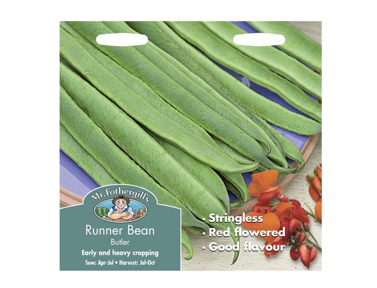 Runner Bean Seeds Butler - image 1