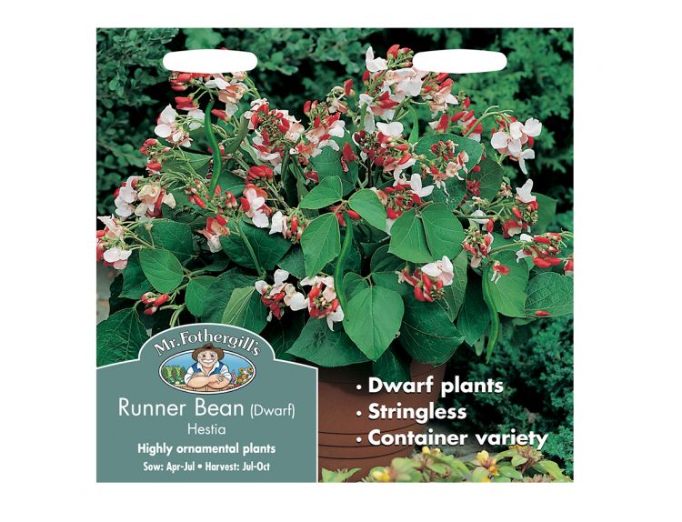 Runner Bean Seeds (Dwarf) Hestia - image 1