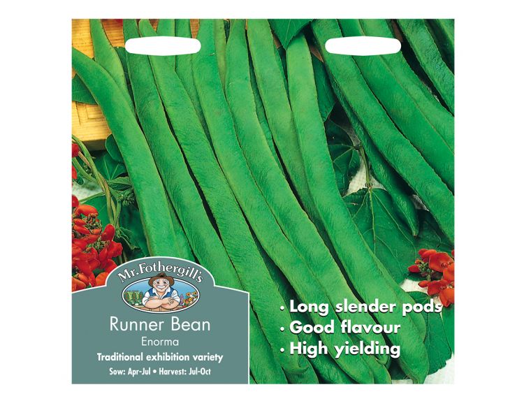 Runner Bean Seeds Enorma - image 1