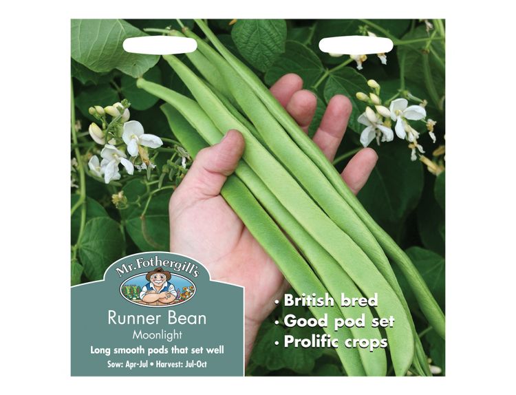 Runner Bean Seeds Moonlight - image 1