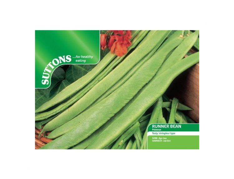 Runner Bean Seeds Polestar (Stringless) - image 1