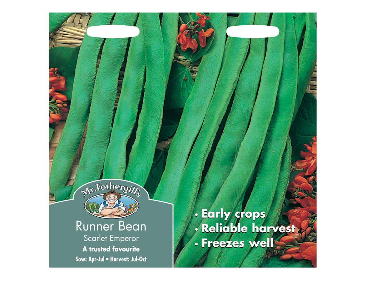 Runner Bean Seeds Scarlet Emperor Knights Garden Centres