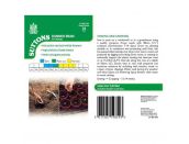 Runner Bean Seeds St George - image 2