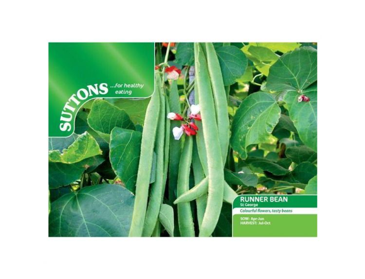 Runner Bean Seeds St George - image 1