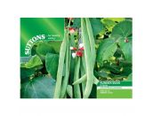 Runner Bean Seeds St George - image 1