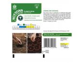 Runner Bean Seeds Super Trio Mix - image 2