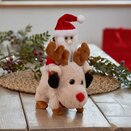 SantaRide! - Mixed Case - image 2