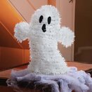 Scaredy-Ghost