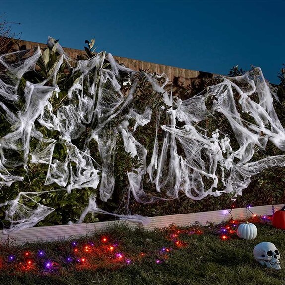 ScaryWeb & 6 Spiders