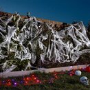 ScaryWeb & 6 Spiders