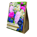 Scented Collection