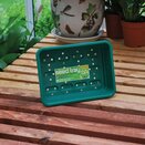 Seed Tray Green With Holes Small - image 1