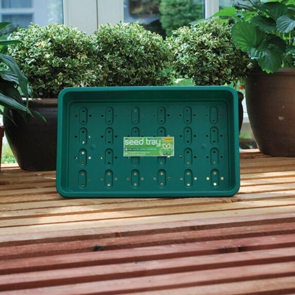 Seed Tray Green With Holes Small - image 2