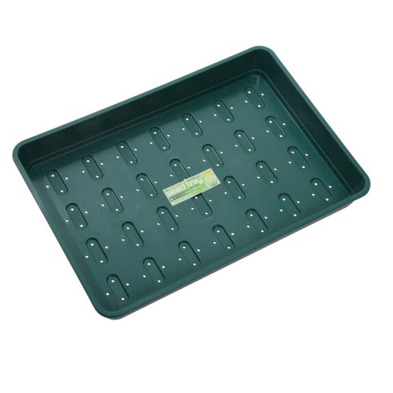 Seed Tray Green With Holes Small - image 3