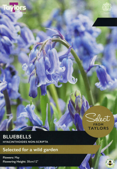 Select Bluebells