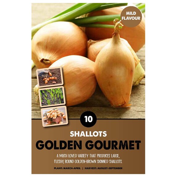 Shallot Golden Gourmet