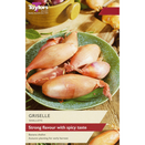 Shallot 'Griselle'