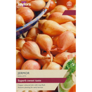 Shallot 'Jermor'
