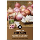 Shallot Red Sun