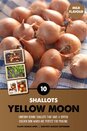 Shallot Yellow Moon