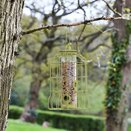Smart Garden Original Squirrel Proof Seed Feeder