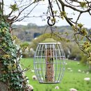 Smart Garden Ultra squirrel proof seed feeder - image 1