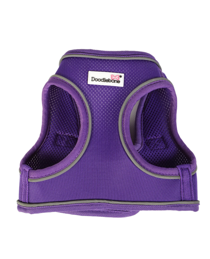 Violet Flower Step In Harness