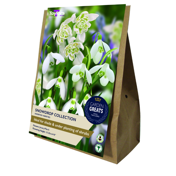 Snowdrop Collection