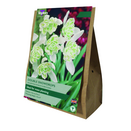 Snowdrops Double Value Bag