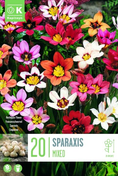 Sparaxis Mixed Colours